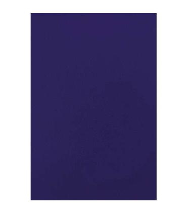 Fellowes Pack de 50 Portadas de Carton Simil Piel A4 - 750 gr - Color Azul