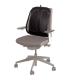 Fellowes Mesh Office Suites Cojin Lumbar - Material de Malla - Ajustable a Cualquier Silla - Color Negro