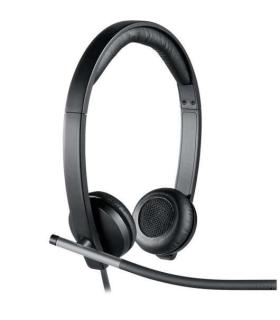 Logitech H650E Auriculares con Microfono USB - Microfono Plegable - Almohadillas Acolchadas - Controles en Cable - Color Negro
