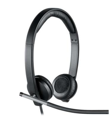 Logitech H650E Auriculares con Microfono USB - Microfono Plegable - Almohadillas Acolchadas - Controles en Cable - Color Negro