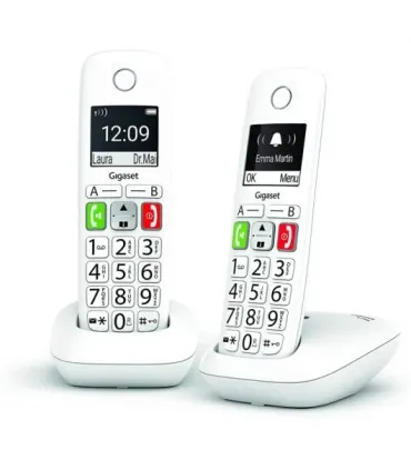 Gigaset E290 Duo Telefono Inalambrico Dect + 1 Supletorio - Pantalla Grande en B/N - Teclas con Numeros Grandes - Volumen con Fu