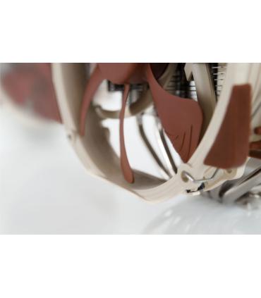 NOCTUA COOLER CPU NH-D15 MULTISOCKET 2XFAN A15, 6 HEATPIPES DUAL TOWER, 140MM FAN PWM, INTEL LGA1851, LGA1700, LGA1200, LGA1151.