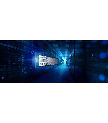 Kingston Technology DC2000B M.2 480 GB PCI Express 4.0 NVMe 3D TLC