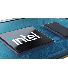 INTEL PROCESSOR 300 2 CORES (2 P-CORES + 0 E-CORES) UP TO 3.9 GHZ SOP. GRAFICO BX80715300 99CG5K