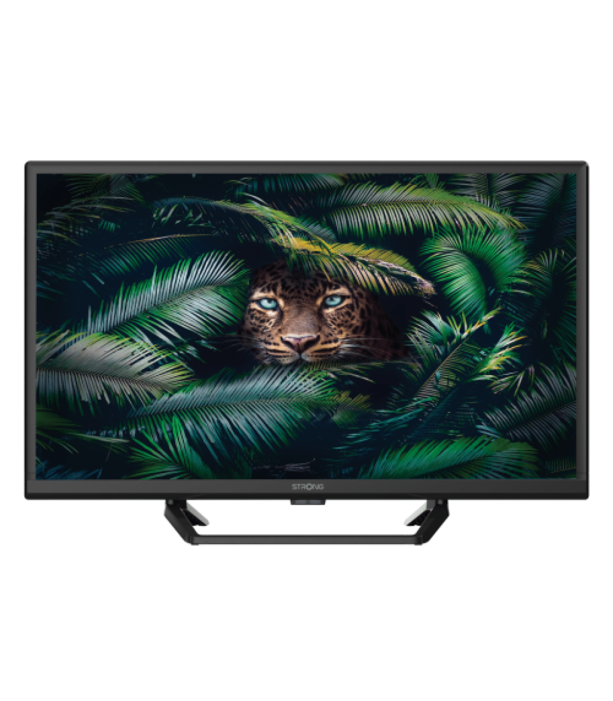 Strong SRT 24HE4023C 61 cm (24") HD Negro 180 cd / m²