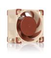 NOCTUA VENTILADOR CAJA NF-A4X20 PWM, 40MM FAN, 40X40X20MM, 12V, 5000RPM/4400RPM/1200RPM, 14,9 DB(A), 9,4 M3/H, 2,26 MM H2O, 4 PI