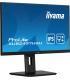 IIYAMA PANTALLA 24" IPS CON SOPORTE REGULABLE EN ALTURA Y FRECUENCIA DE ACTUALIZACIÓN DE 100HZ