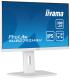 MONITOR IIYAMA 27"/ 1920 x 1080 / 100Hz /2.1 MPX/ FHD /250CD/16:9/HDMI/IPS/NEGRO