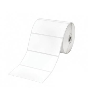 Brother Pack de 8 Rollos de Etiquetas Precortadas de Transferencia Termica - 1.000 Etiquetas por Rollo - Medidas 60 x 40mm