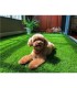 SunGarden Cesped Artificial 2x5m - 40mm - Serie Alpino Superior