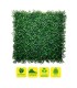 Sungarden Jardin Vertical Serie Floraria 50x50cm - Color Verde