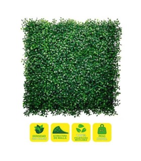 Sungarden Jardin Vertical Serie Floraria 50x50cm - Color Verde