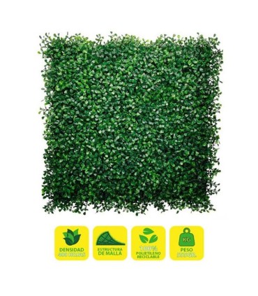 Sungarden Jardin Vertical Serie Floraria 50x50cm - Color Verde