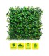 Sungarden Jardin Vertical Serie Botanico 50x50cm - Color Verde