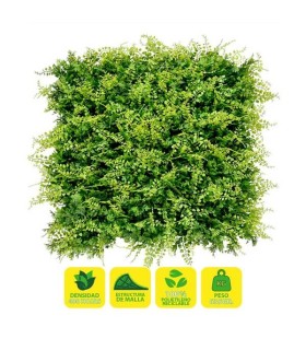 Sungarden Jardin Vertical Serie Jardino 50x50cm - Color Verde