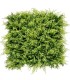 Sungarden Jardin Vertical Serie Jardino 50x50cm - Color Verde