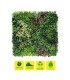 Sungarden Jardin Vertical Serie Jardinova 100x100cm - Color Verde
