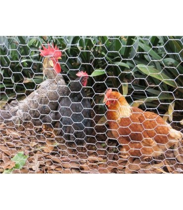 Sungarden Malla Gallinero Hexagonal 13x0.7mm 1x50m - Color Gris