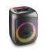 NGS Wild Swag Go Altavoz Portatil 80W TWS Bluetooth 5.0 - Autonomia hasta 10h - USB y Aux In - Iluminacion LED - Color Negro