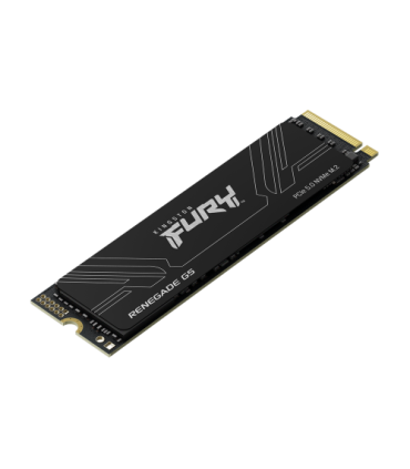 Kingston Technology 1T FURY RENEGADE G5 M.2 2280 NVMe SSD