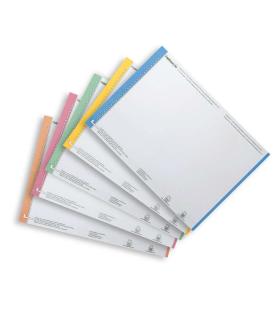 Elba Bristol Hoja 10 Etiquetas para Carpeta Colgante N°0 - Resistente - Tamaño Adecuado - Colores Surtidos