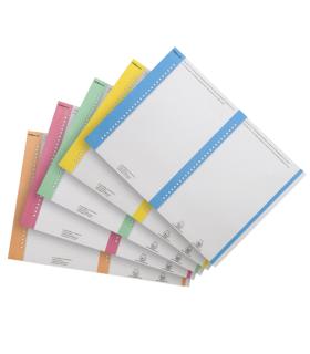 Elba Bristol Pack de 10 Hojas A5 por 27 Etiquetas para Visores Laterales Carpeta Colgante Nº 8 14.4x06mm - Resistente Material..