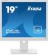 MONITOR IIYAMA 19" B1980D-W5, 1280 x 1024, 60HZ, 5 MS, VGA, DVI, REG ALT, GIRO, INCL, PIVOT, BLANCO