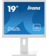 MONITOR IIYAMA 19" B1980D-W5, 1280 x 1024, 60HZ, 5 MS, VGA, DVI, REG ALT, GIRO, INCL, PIVOT, BLANCO