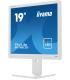 MONITOR IIYAMA 19" B1980D-W5, 1280 x 1024, 60HZ, 5 MS, VGA, DVI, REG ALT, GIRO, INCL, PIVOT, BLANCO