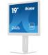 MONITOR IIYAMA 19" B1980D-W5, 1280 x 1024, 60HZ, 5 MS, VGA, DVI, REG ALT, GIRO, INCL, PIVOT, BLANCO