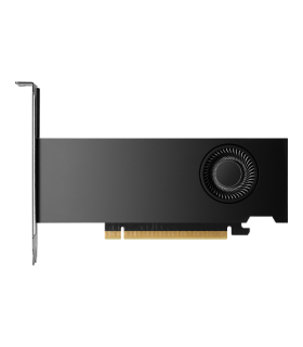 PNY NVIDIA RTX 2000 Ada Generation 16 GB GDDR6