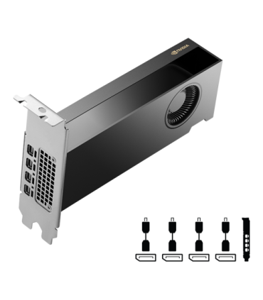 PNY NVIDIA RTX 2000 Ada Generation 16 GB GDDR6