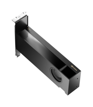 PNY NVIDIA RTX 2000 Ada Generation 16 GB GDDR6