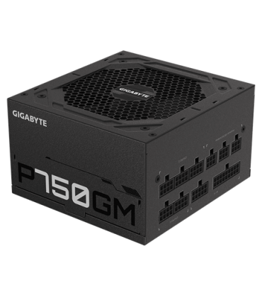 Gigabyte P750GM unidad de fuente de alimentación 750 W 20+4 pin ATX ATX Negro