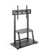 Ewent Soporte de Suelo para TV hasta 100" - Bandeja Auxiliar - Altura Ajustable - VESA Maximo 800x600 - Peso Maximo 150kg - Rued