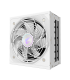 GIGABYTE AORUS ELITE P850W ICE Fuente de Alimentación - PCIe 5.0, 80 PLUS Platinum, Diseño completamente modular, Ventilador..