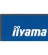 MONITOR IIYAMA PROLITE, 24 PULGADAS, 60.5CM, IPS PANEL TECHNOLOGY, 1920X1080, 120HZ, MATE NEGRO
