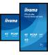 MONITOR IIYAMA 43" ALL-IN-ONE PCAP INTERACTIVE/ ANDROID 14 OS/ 3840 x 2160/ 450CD/M² WITH TOUCH/ HDMI X2 + USB-C/RS-232C X1/ WiF