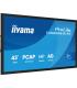 MONITOR IIYAMA 43" ALL-IN-ONE PCAP INTERACTIVE/ ANDROID 14 OS/ 3840 x 2160/ 450CD/M² WITH TOUCH/ HDMI X2 + USB-C/RS-232C X1/ WiF
