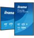 MONITOR IIYAMA 43" (LH4375UHS-B1AG) ANDROID 11 / 3844X2160 (4K UHD) / OPERACION 24/7 /500CD / LANDSC. Y PORTRAIT / 3XHDMI / DP..