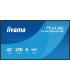 IIYAMA MONITOR 43" 3840x2160, UHD VA DLED 500cd/m, HORIZ Y VERT, MM 2x 10W, 2x HDMIx 1x USB-C, USB 2.0 x2, WiFi, LAN, Media Play