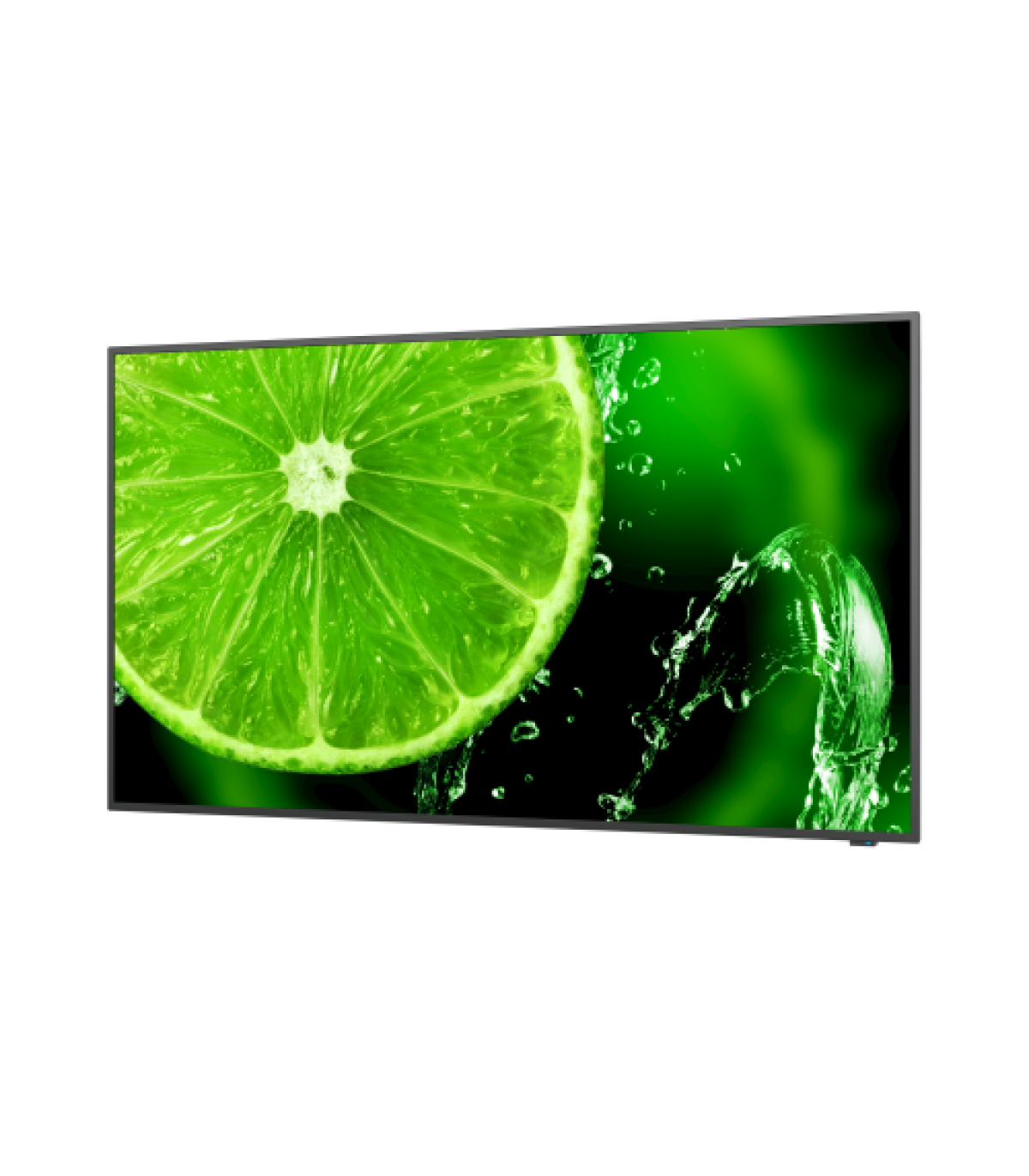 NEC MultiSync E498 124,5 cm (49") IPS 350 cd / m² 4K Ultra HD Negro 16/7