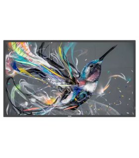 MONITOR PHILIPS 75" Q-LINE / PANEL IPS D-LED 16:9 / 3840X2160 400CD/M2 / 8MS / PIXEL PITCH 0.429X0.429 / VESA 600X400/M8 / SOC..