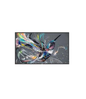 MONITOR PHILIPS 50" Q-LINE / PANEL VA D-LED 16:9 / 3840X2160 400CD/M2 / 8MS / PIXEL PITCH 0.285X0.285 / VESA 400X400/M6 / SOC MS