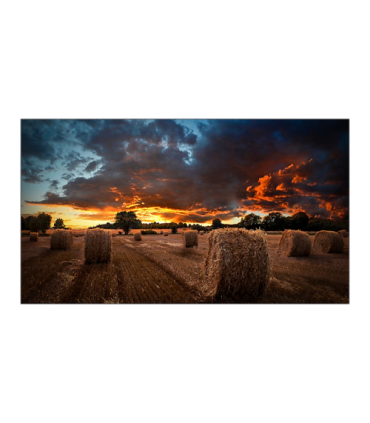 Samsung VM55B-U Interior