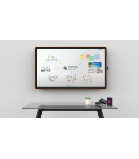 CTOUCH CANVAS WRITER (10052599