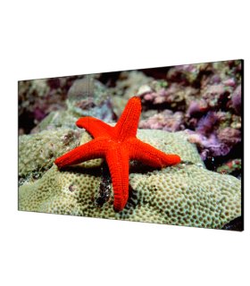 Hikvision Digital Technology DS-D2055HR-G pantalla mural de vídeo LCD Interior