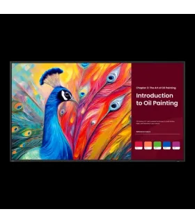 BENQAV DIGITAL SIGNAGE SH5504 (9H.S3STB.DE2) 55", 18/7 ANDROID 14.0, 8GB 64GB, 800 NITS, 3840 X 2160, REMOTE CONTROLLER, NO OPS.