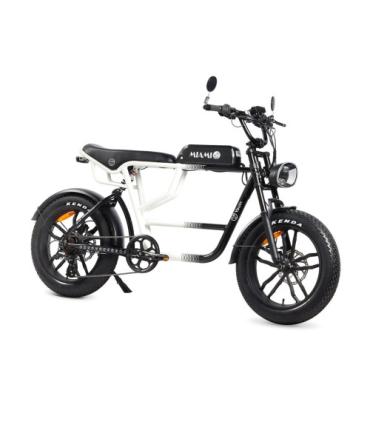 YOUIN E-BIKE URBAN STYLE FAT 2