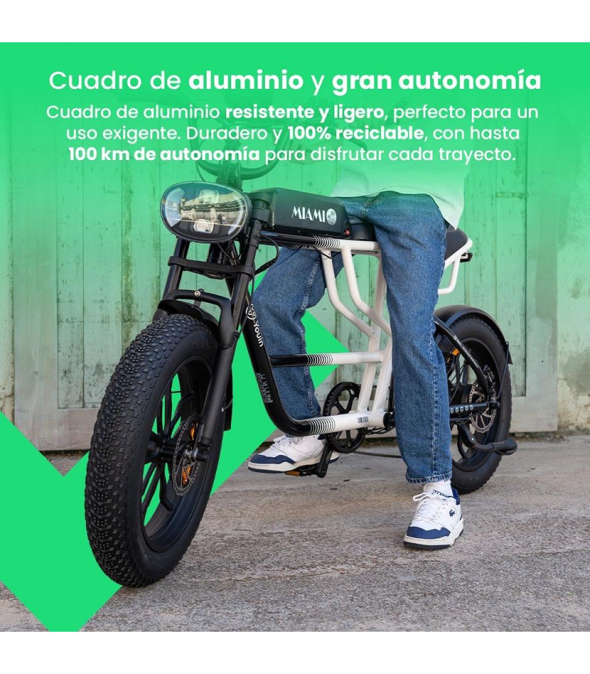 YOUIN E-BIKE URBAN STYLE FAT 2